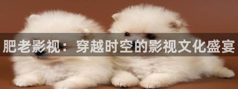 窝窝免费电影网