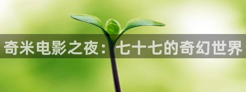 电影在线观看窝窝