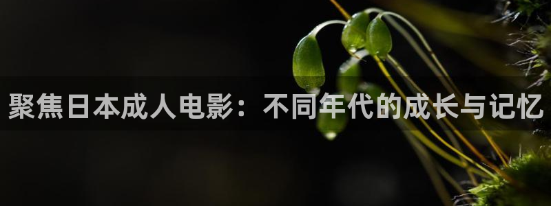 窝窝影视免费观看