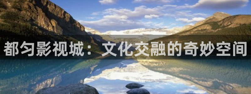 窝窝影视网在线观看